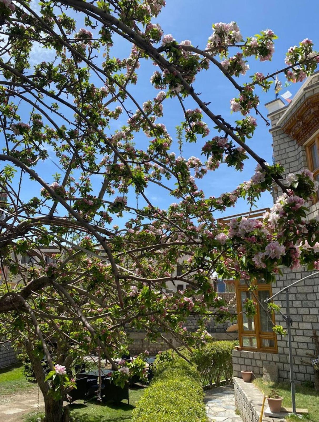 Hotel Lumbini Leh Bagian luar foto